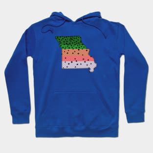 Trout Fishing Rainbow Trout Pattern Missouri State Map State Map Hoodie